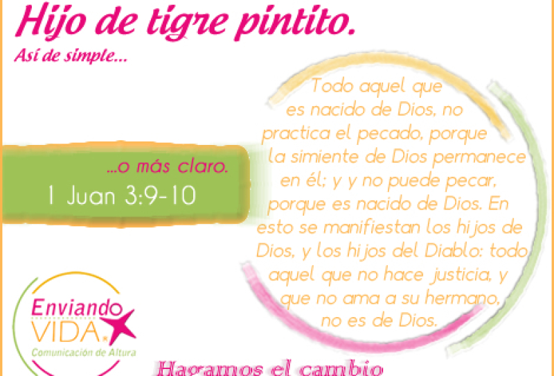 Postales Cristianas de los niños es el reino