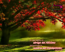 Fondo de pantalla cristiano Salmo 91 1280