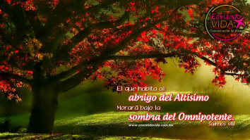 Fondo de pantalla cristiano Salmo 91 1360
