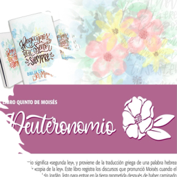 Biblia de estudio Ser Mujer intro a libros