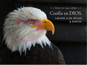 postales cristianas los que esperan en Jehová aguilas