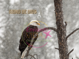 postales cristianas los que esperan en Jehová aguilas