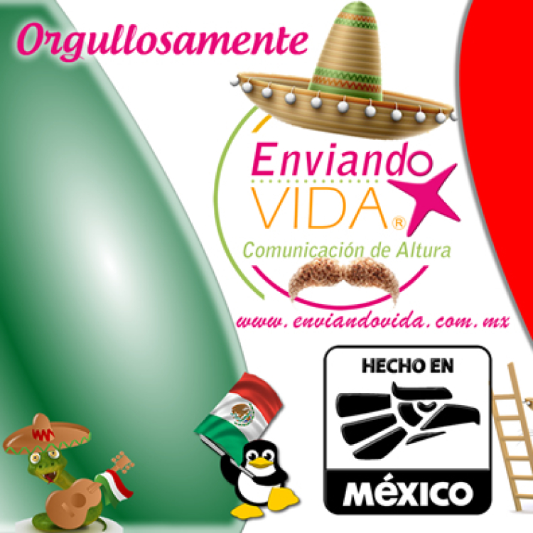 Enviando Vida Hecho en México