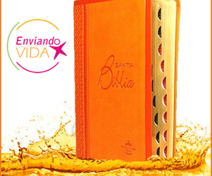 Postales cristianas estudiar la palabra de Dios