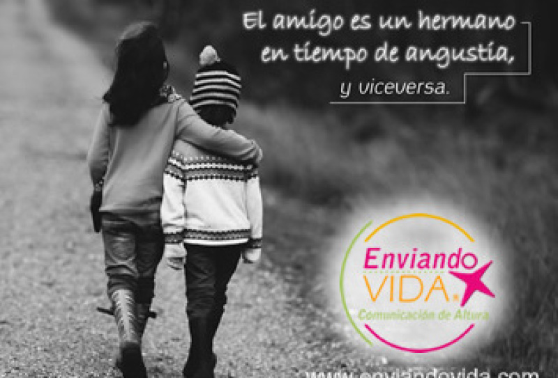 Postales Cristianas de los niños es el reino