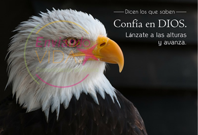 postales cristianas yo y mi casa serviremos a Jehová