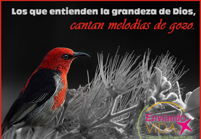Postales cristianas Proverbios 21:20