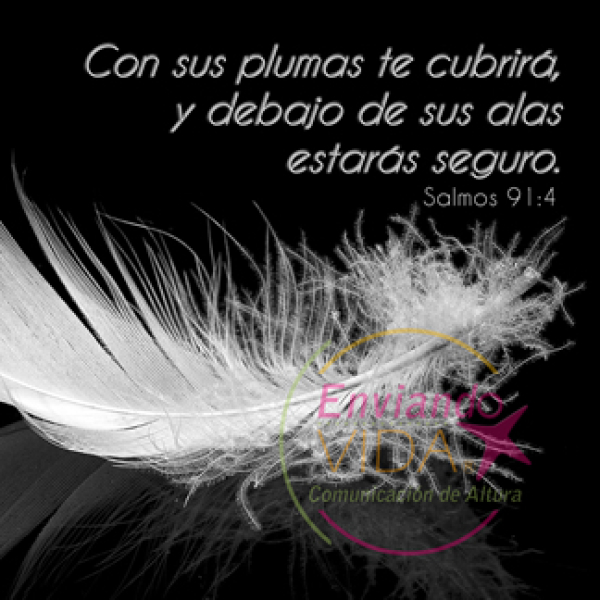 Salmo 91 Con sus plumas te cubrirá