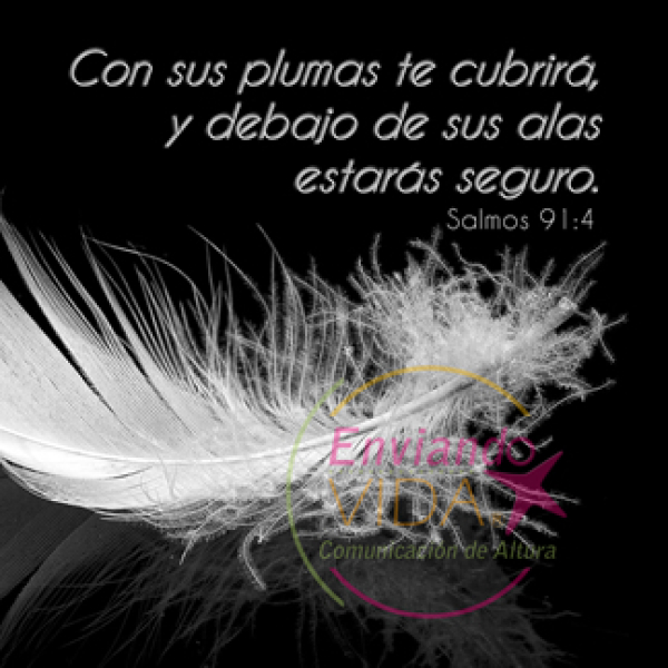 Con sus plumas te cubrirá