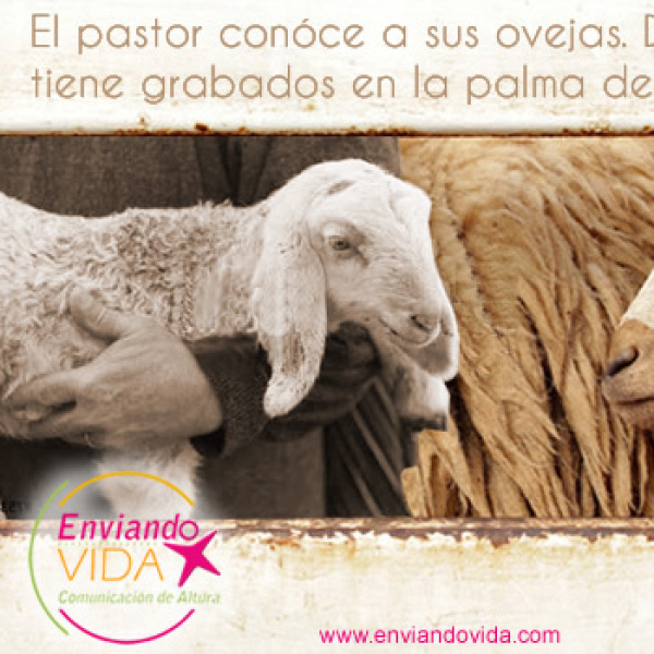 Las ovejas oyen su voz, Dios la llama por su nombre