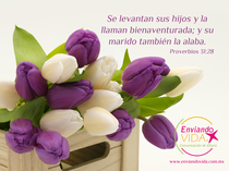 Postales con citas bíblicas. Proverbios 31:28