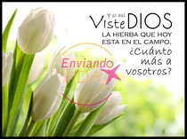 Postales con citas bíblicas abundancia 3