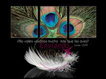 Postales con citas biblicas aves