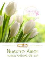 Postales con citas bíblicas. Amor