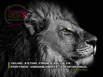 Postales con citas bíblicas. León firmeza
