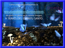 Postales con citas bíblicas. Postal mariposas